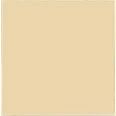 BAS 325 Solid Beige