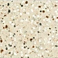 BAS 640 Pebble Daisy