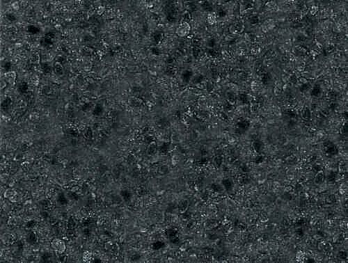 gl003