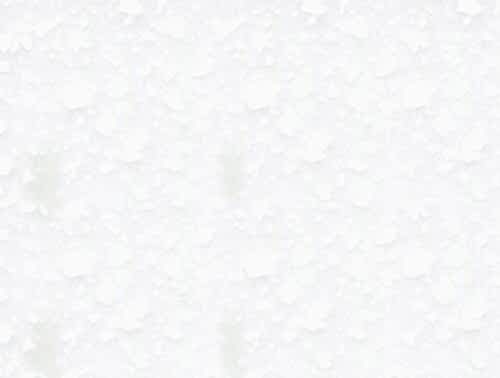 t021